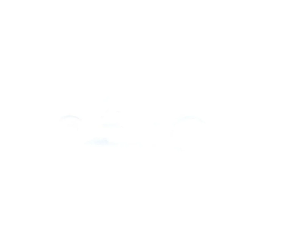 Used 2019 White Hyundai Ultimate image 45