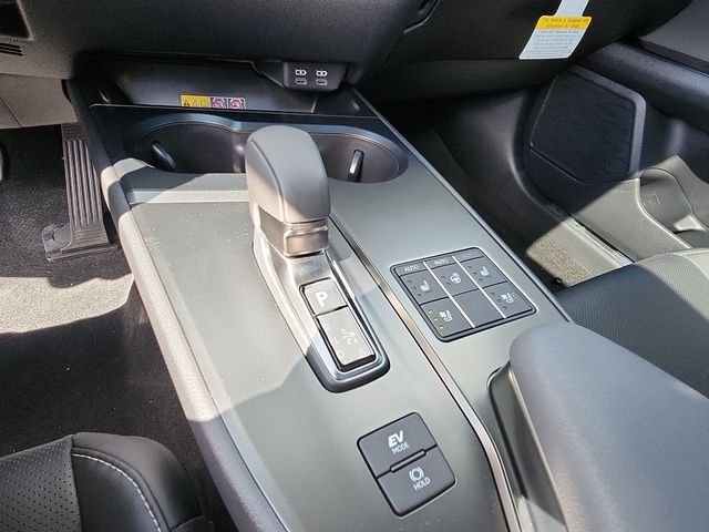 New 2025 Redline Lexus 300h Premium image 20