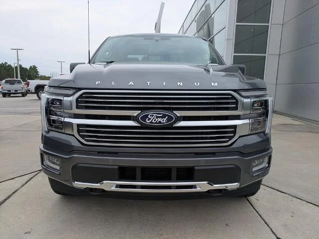 New 2026 Carbonized Gray Metallic Ford Platinum image 43