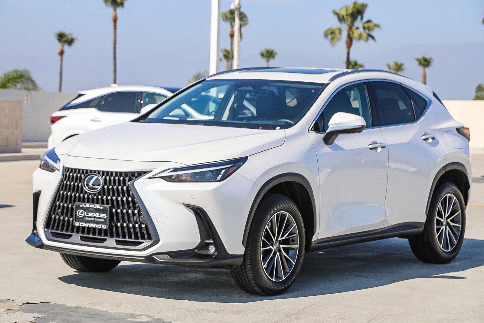2025 Lexus NX 350 - Photo 3