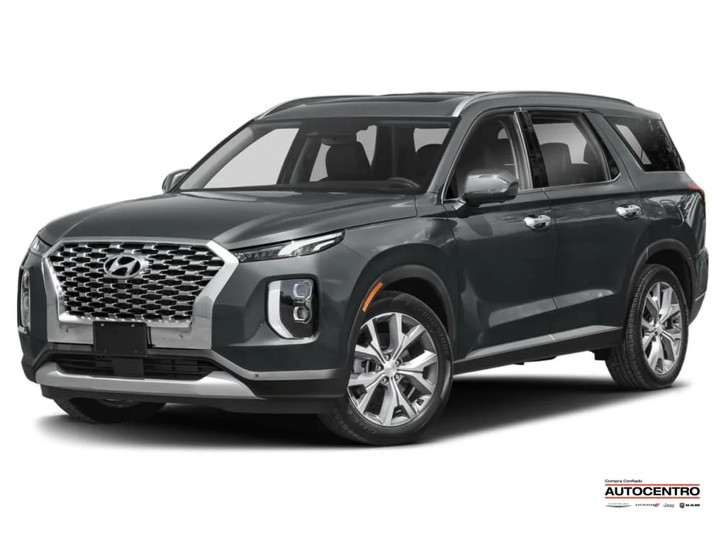 2022 Hyundai Palisade's photo