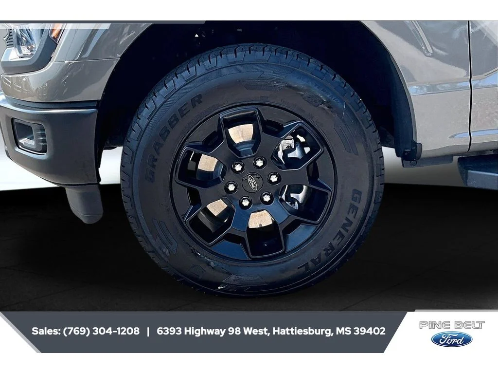 Used 2025 Marsh Gray Ford STX image 7