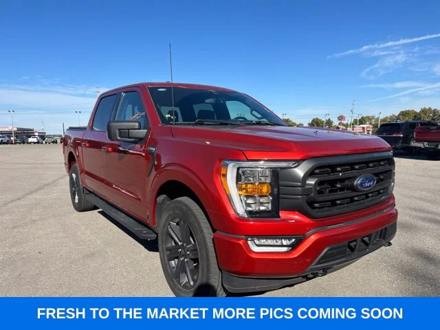 Used 2023 Red Ford XLT image 4