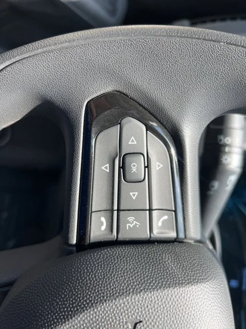 Used 2025 Black Ram Low Roof image 15
