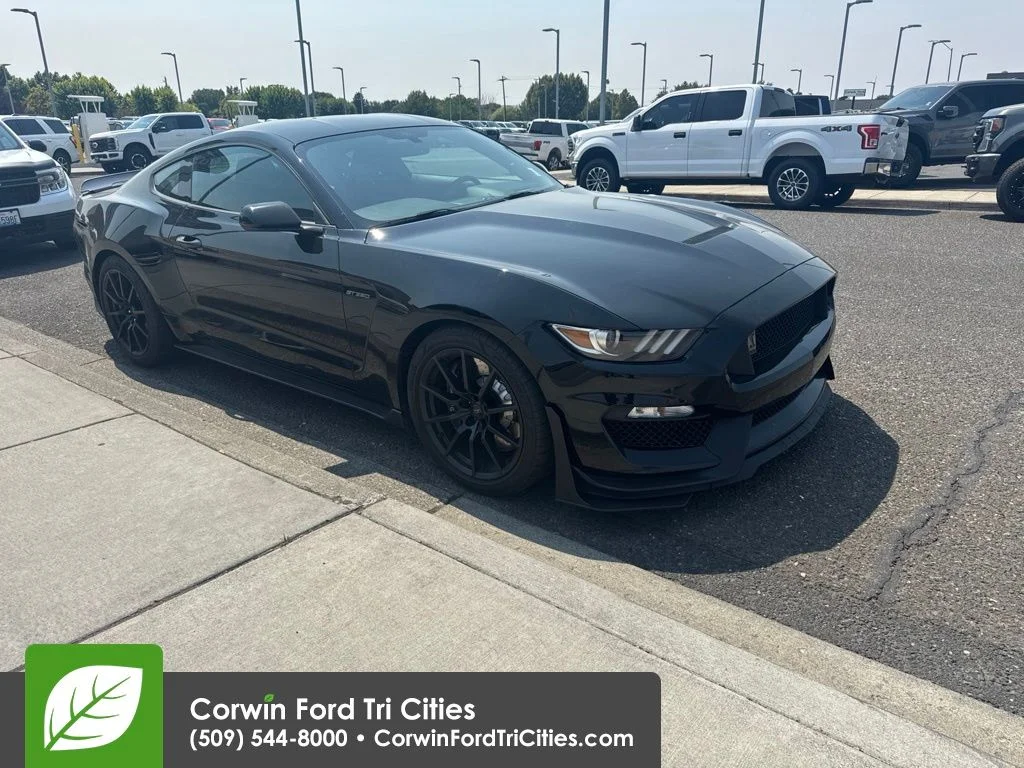 Used 2016 Shadow Black Ford Shelby GT350 image 11