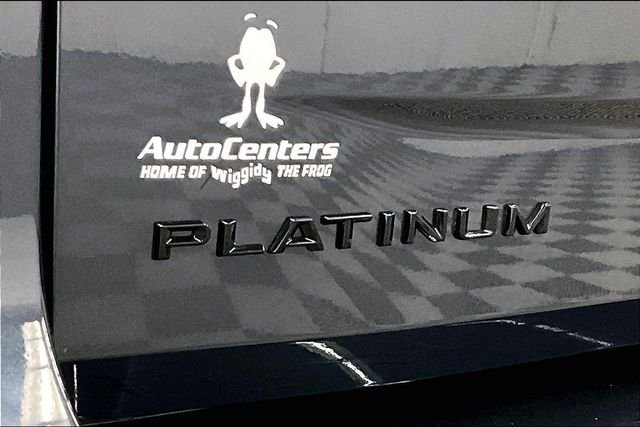 2025 Ford Expedition Platinum - Photo 9