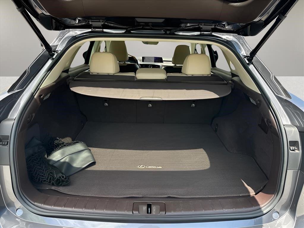 Used 2017 Nebula Gray Pearl Lexus RX 350 image 32