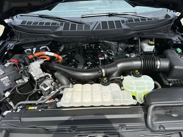 Used 2024 Blue Ford XLT image 19