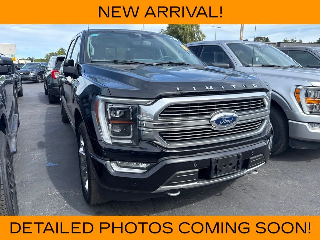 Used 2023 Black Metallic Ford Limited image 2
