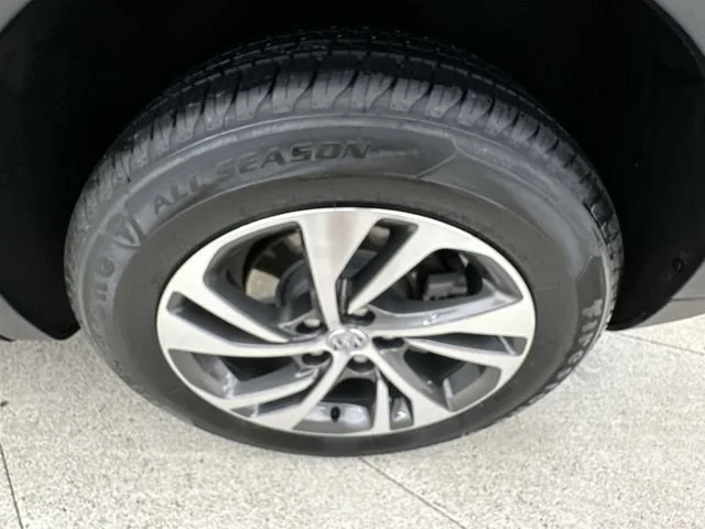Photo 41