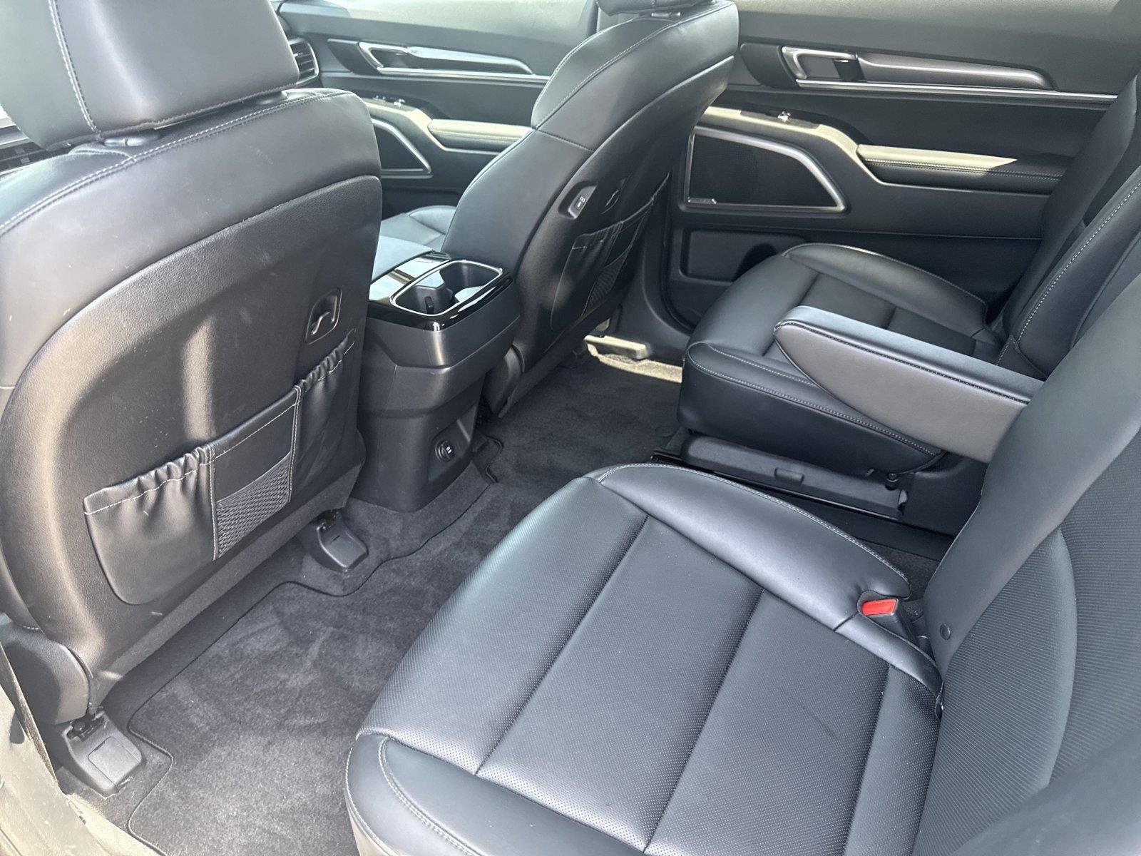 Used 2025 Panthera Metal Kia S image 32