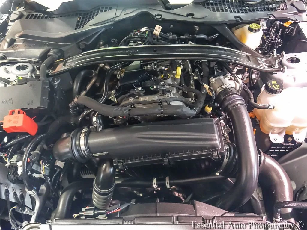 Used 2025 Silver Ford EcoBoost Premium Convertible image 25