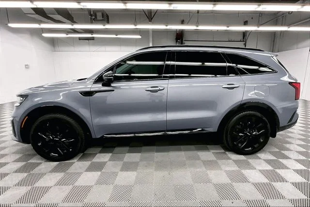 Used 2022 Everlasting Silver Kia SX-Prestige image 13
