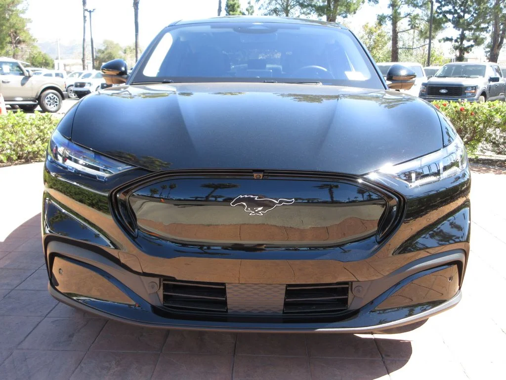 New 2026 Shadow Black Ford Premium image 7