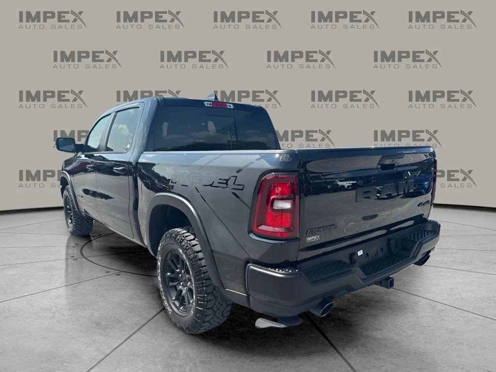 Used 2025 Black Ram Rebel image 2