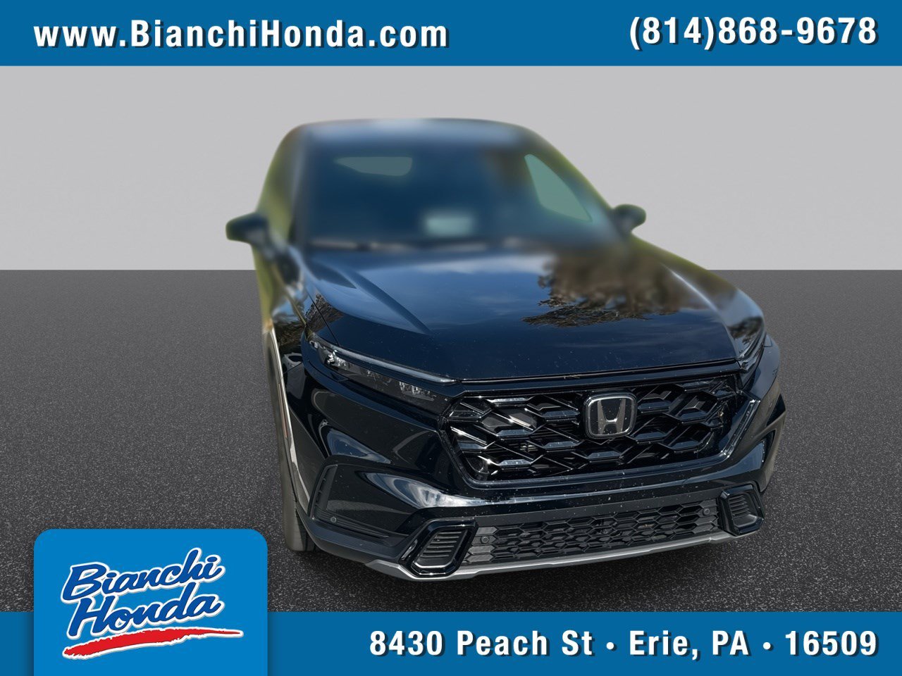 Used 2025 Black Honda Sport-L image 1