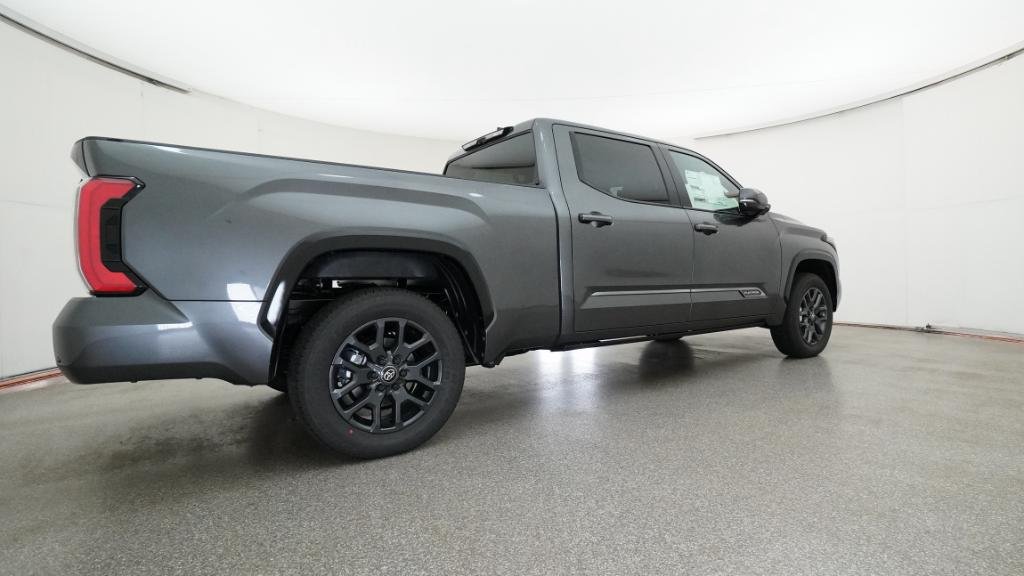 New 2026 Magnetic Gray Metallic Toyota Platinum image 20