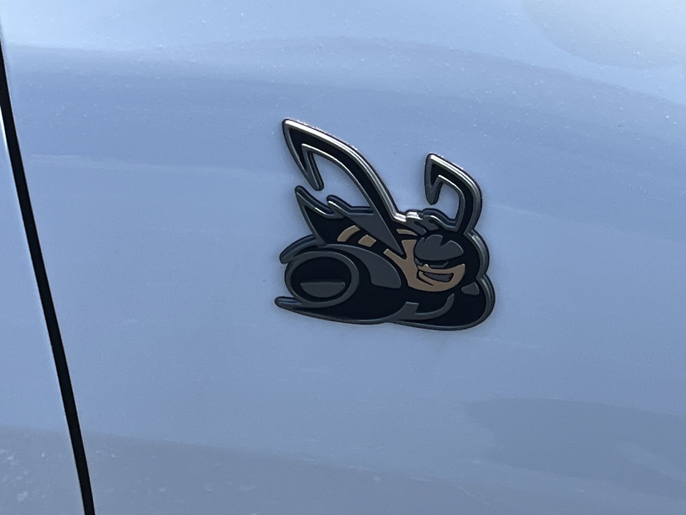 New 2026 White Knuckle Exterior Paint Dodge Scat Pack image 28
