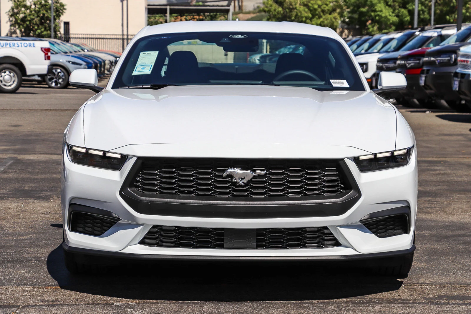 New 2026 Oxford White Ford EcoBoost® Fastback image 2