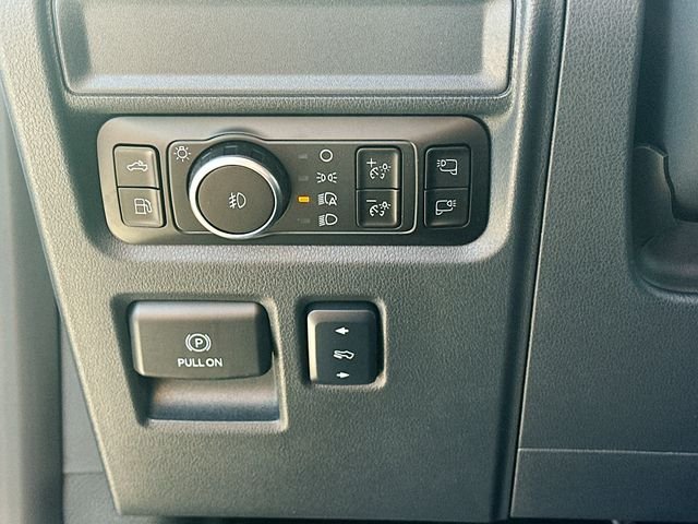 2025 Ford F-150 Platinum - Photo 10