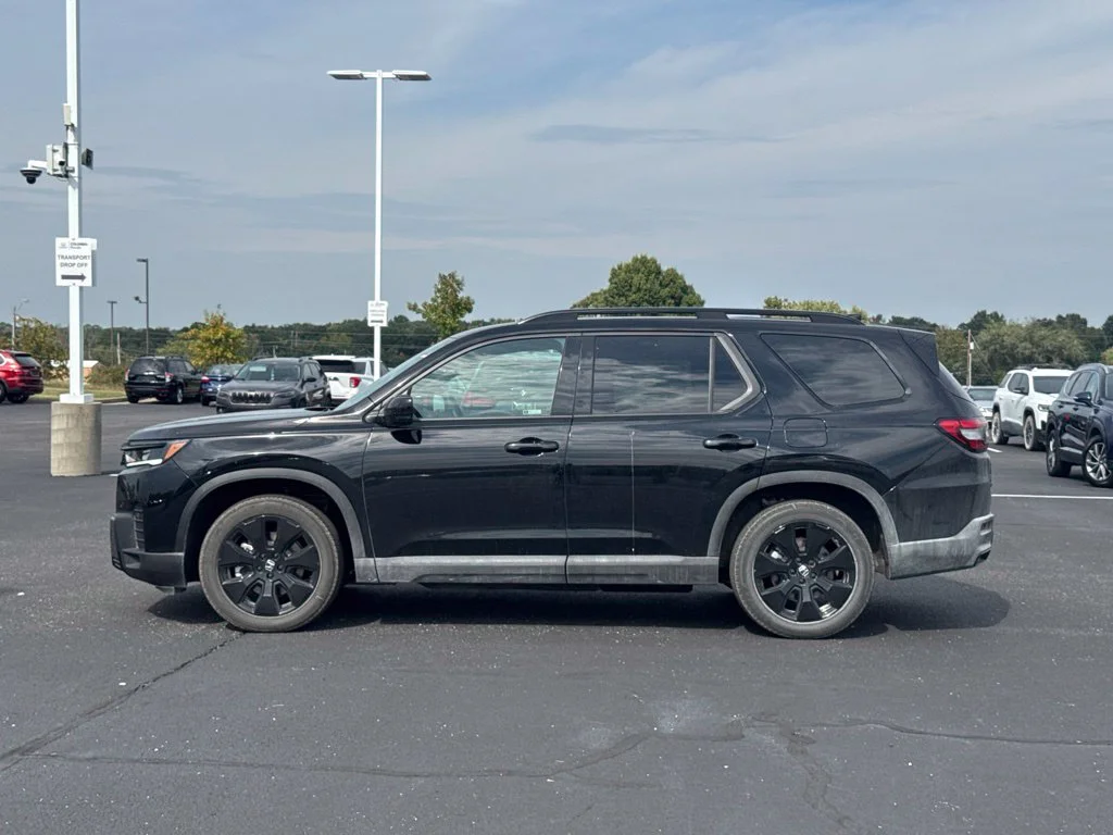 Used 2026 Blue Honda Black Edition image 6