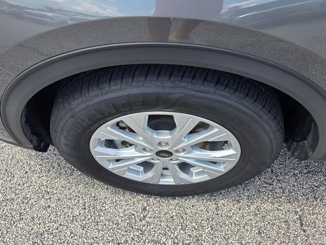 Used 2024 Gray Ford Active image 19