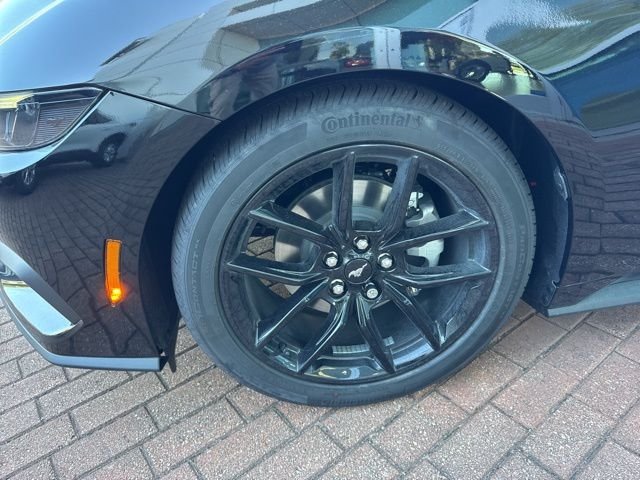 New 2025 Shadow Black Ford EcoBoost® Premium Convertible image 7