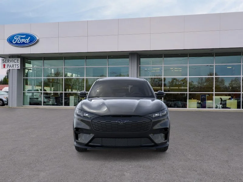 New 2026 Shadow Black Ford Premium image 30