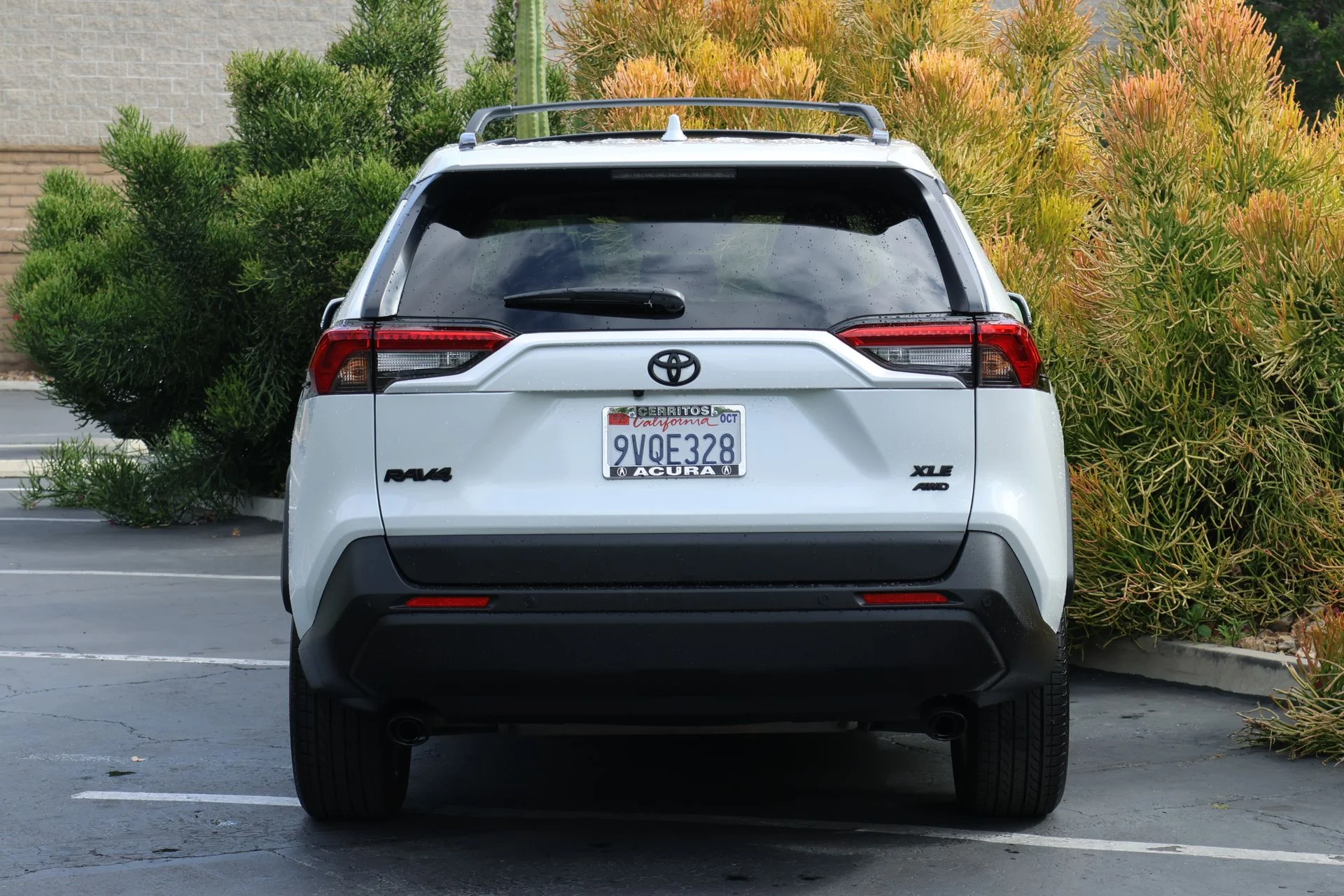 Used 2025 Beige Toyota XLE Premium image 4