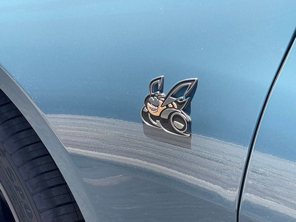 New 2026 Sub-Zero Exterior Paint Dodge Scat Pack image 8