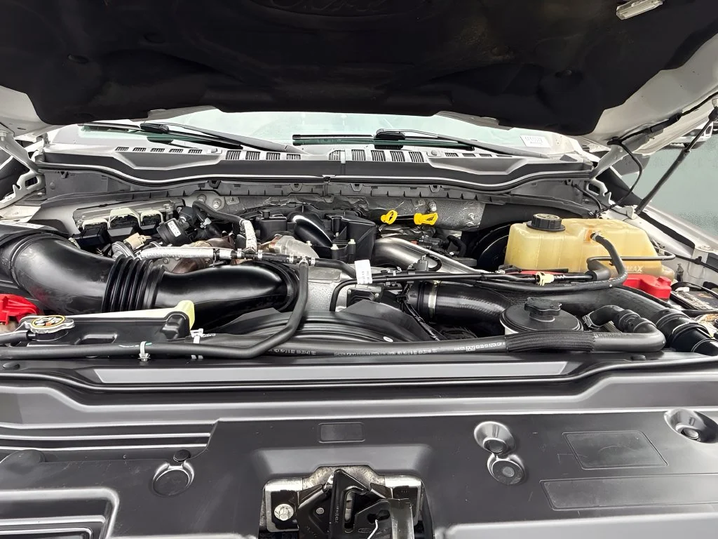 Used 2019 White Ford King Ranch image 30