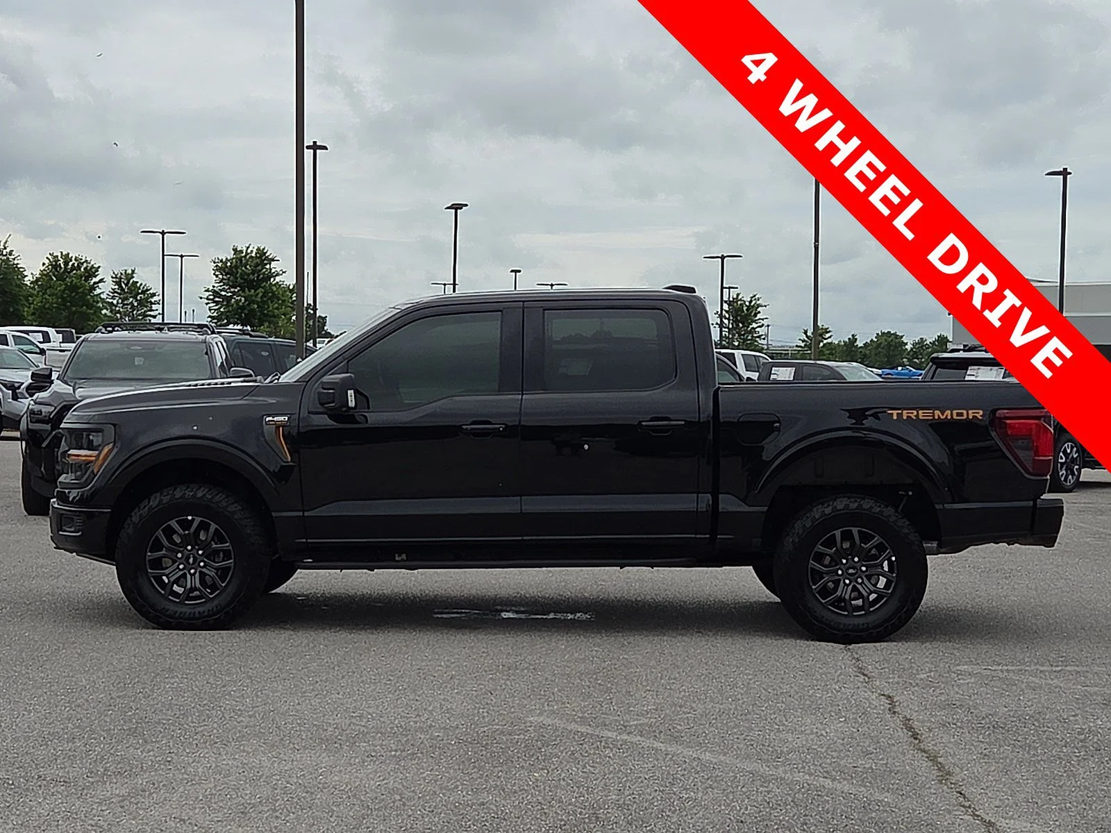 2025 Ford F-150 Tremor - Photo 3