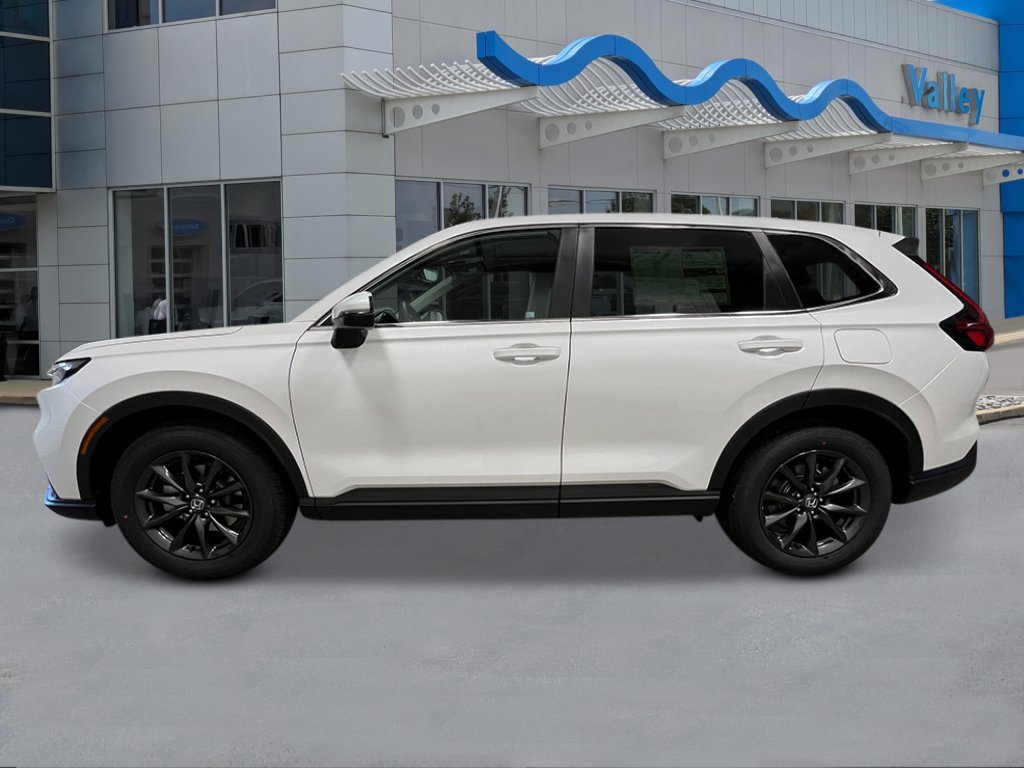 New 2026 Platinum White Pearl Honda EX-L image 2