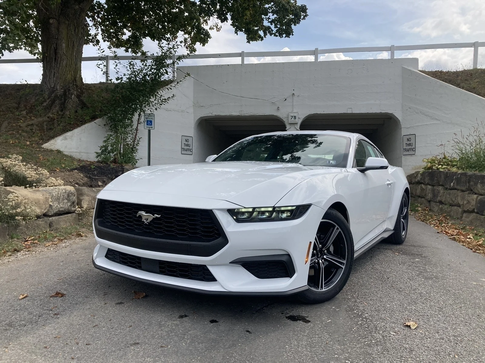 2025 Ford Mustang EcoBoost Premium Fastback - Photo 24