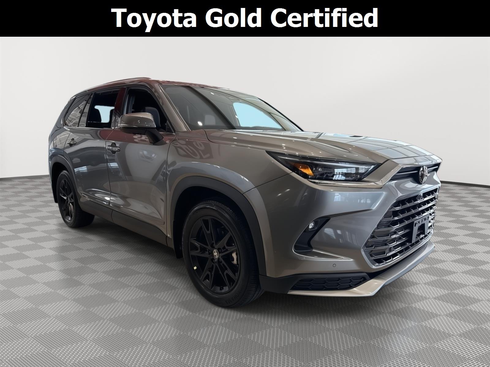 Used 2026 Heavy Metal Toyota MAX Limited image 1
