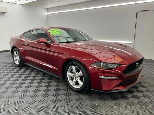Used 2019 Red Ford EcoBoost image 3