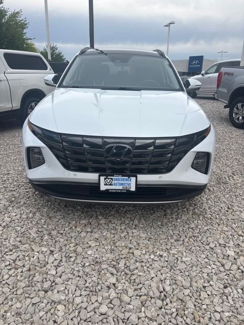 Used 2024 White Hyundai Limited image 2