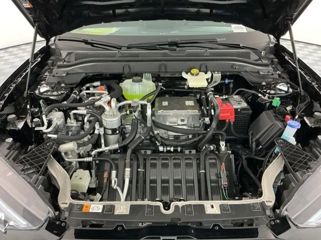 New 2026 Shadow Black Ford Premium image 35