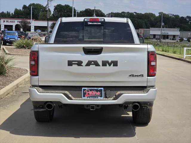 New 2026 Silver Zynith Exterior Paint RAM Express image 4