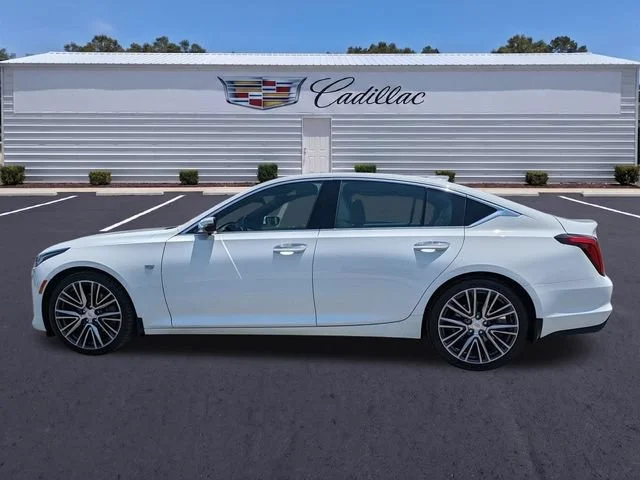 Used 2023 Summit White Cadillac Premium Luxury image 7