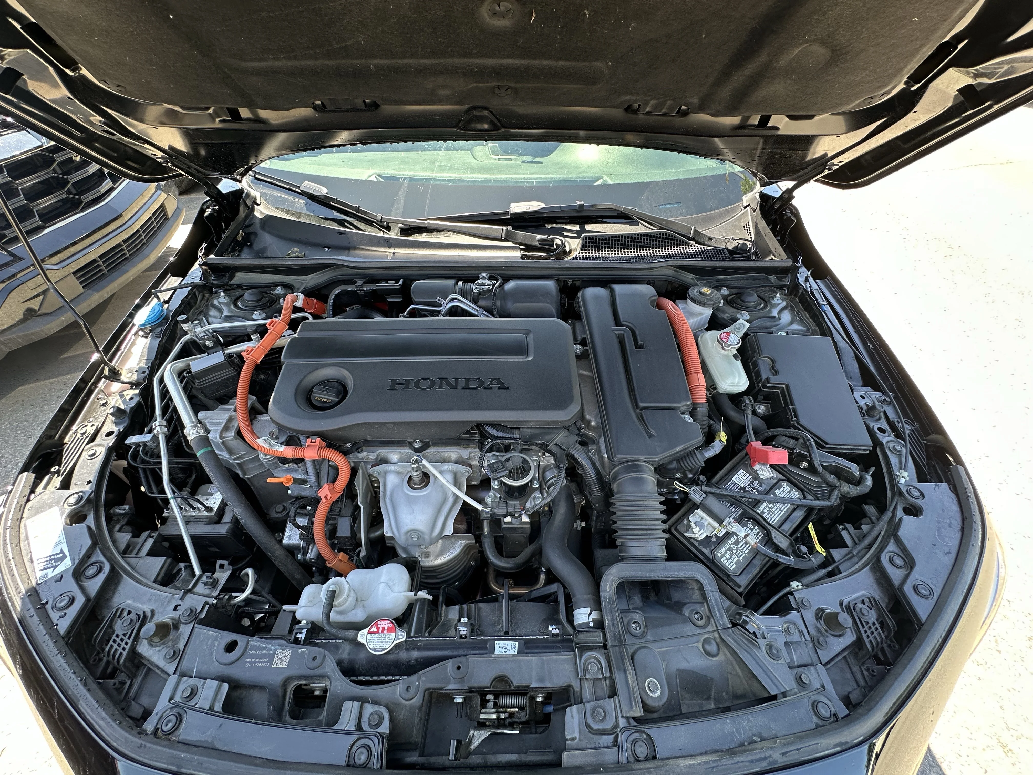 Certified Used 2025 Black Honda Sport image 7