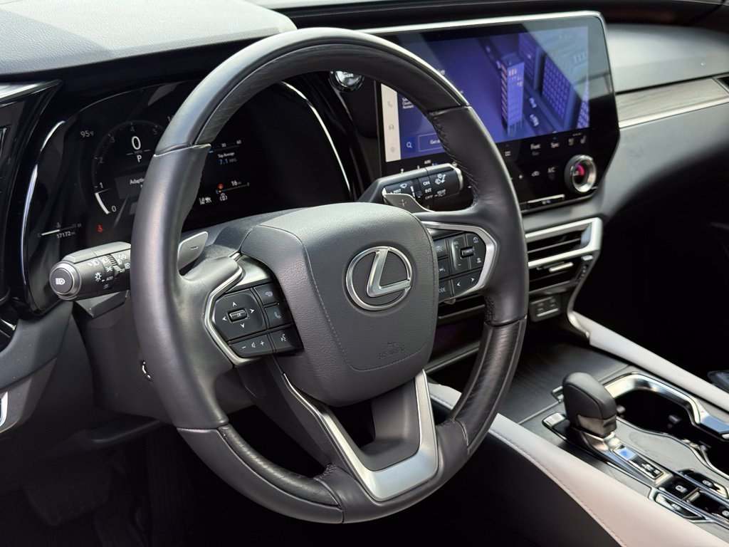 2025 Lexus RX 350 - Photo 19