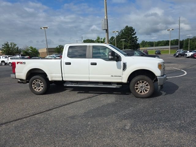 Used 2019 White Ford XL image 2