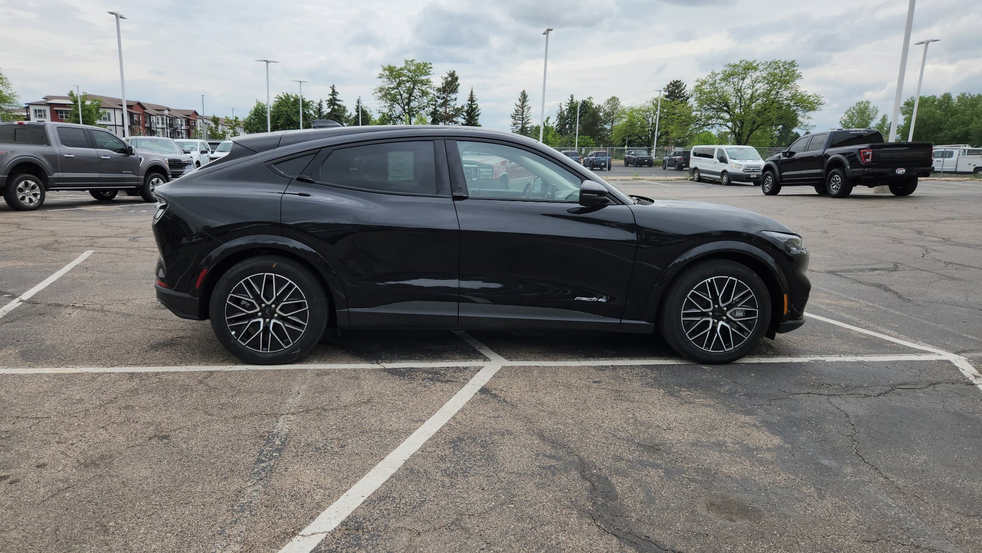 New 2026 Shadow Black Ford Premium image 16