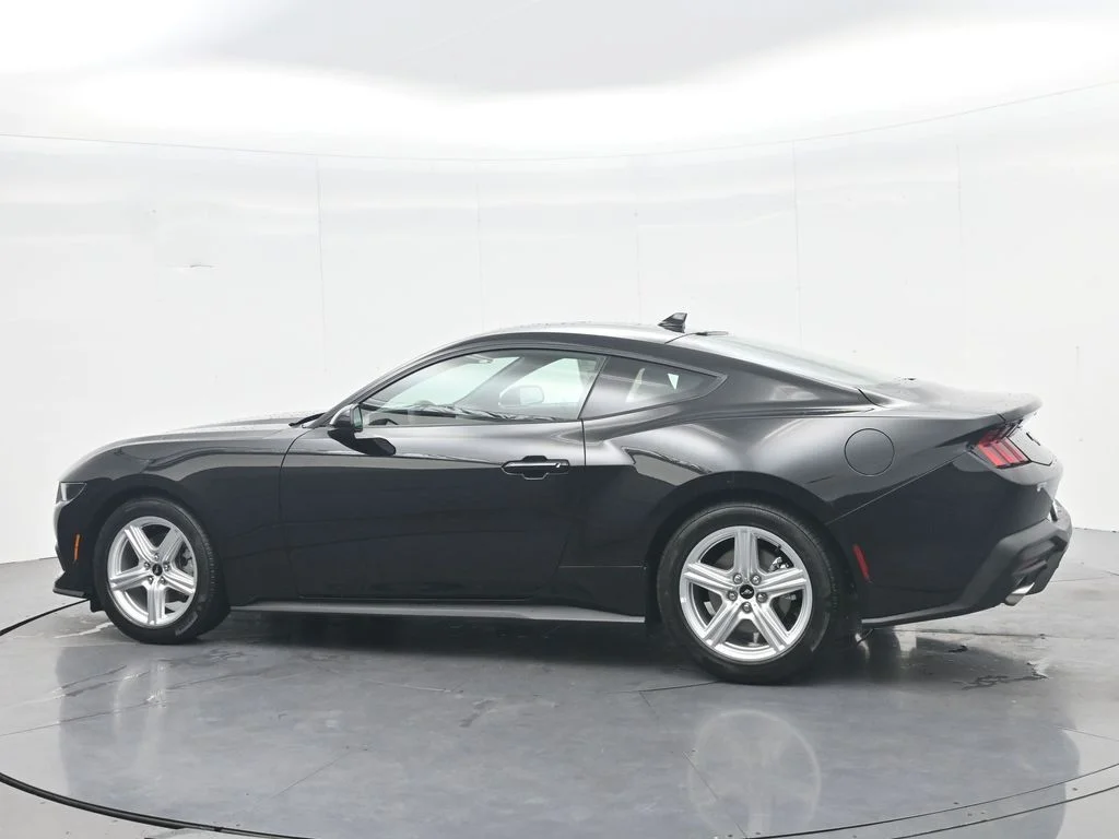New 2026 Black Ford EcoBoost image 10