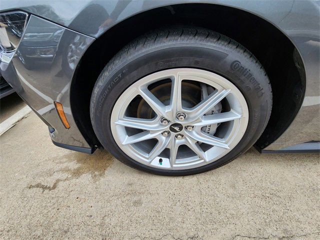 car-gallery-19