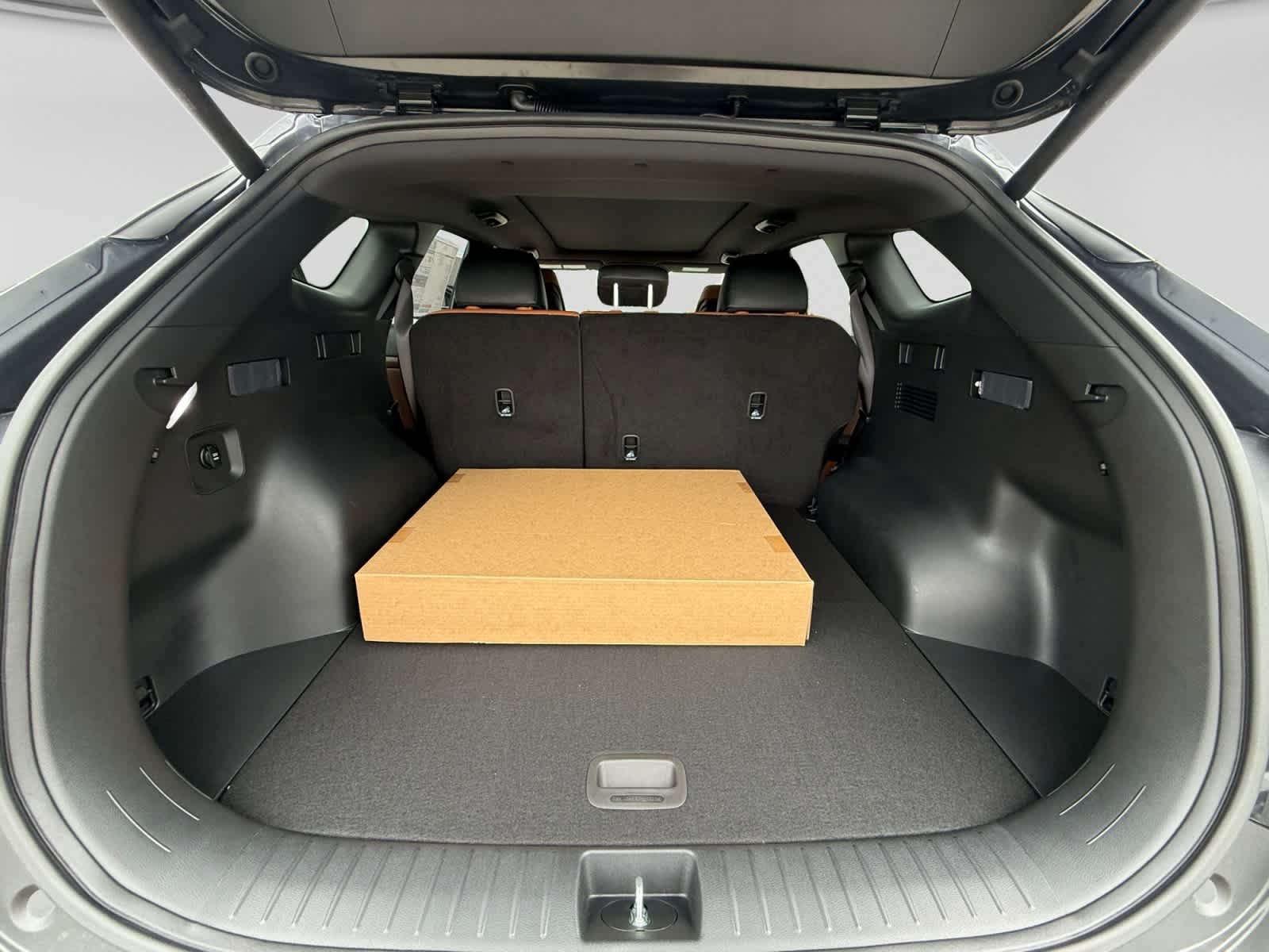 New 2026 Panthera Metal Gray Kia X-Line image 23
