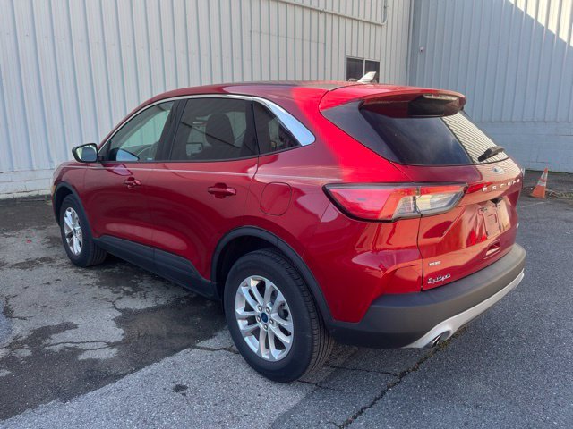 Used 2022 Rapid Red Metallic Tinted Clearcoat Ford SE image 7