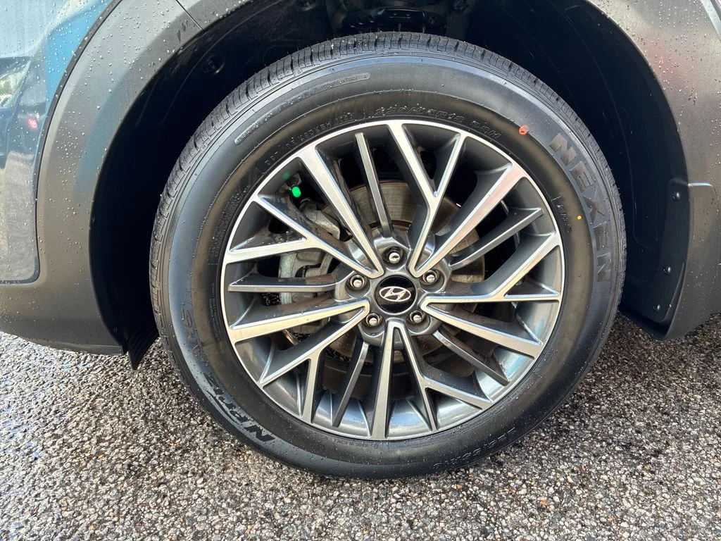 Used 2019 Blue Hyundai Ultimate image 12