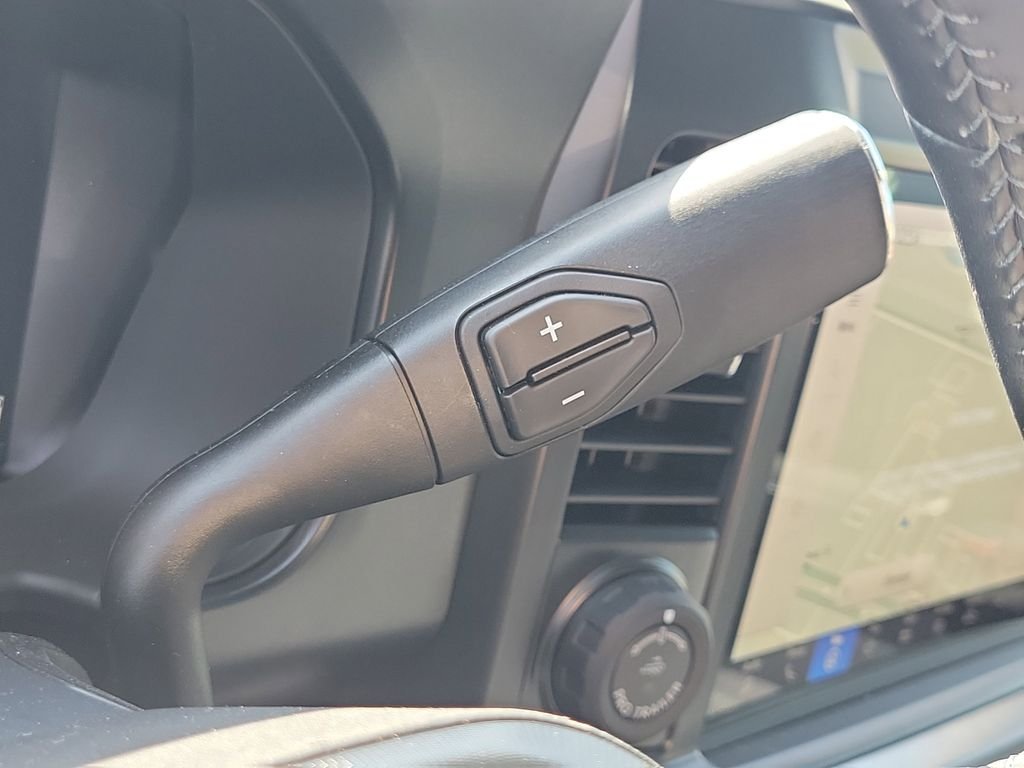 2025 Ford F-350 Super Duty Platinum - Photo 30
